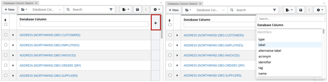 TopBraid EDG Search Results Panel Column Selection